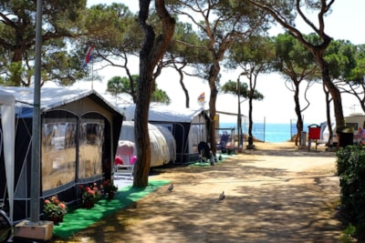 Standard Pitch (80 m2) — 1