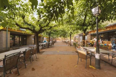 TAIGA Bassegoda Park - image n°3 - Camping Direct