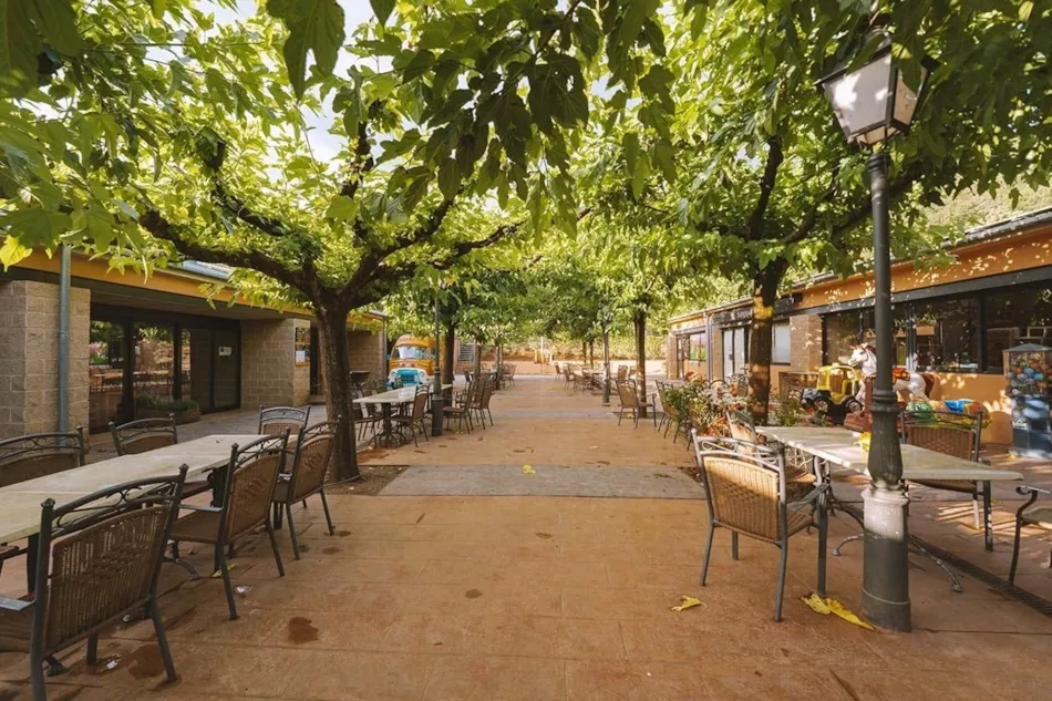 TAIGA Bassegoda Park