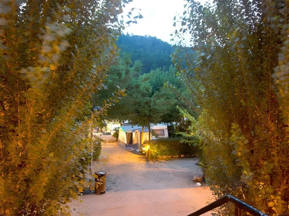 TAIGA Bassegoda Park