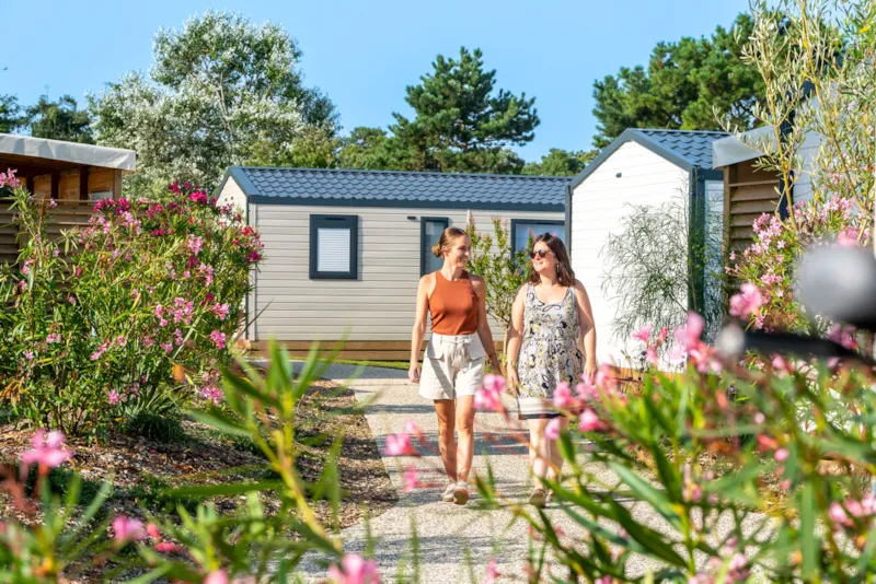 Cottage Olbia Confort Climatisé - Quartier Piéton / D