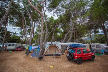 Stellplatz - Stellplatz Komfort - 1 Zelt, Wohnwagen, Wohnmobil / 1 Auto - Rapoća Camping Village