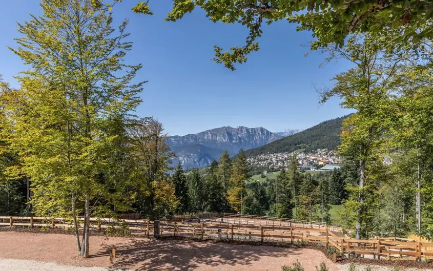 Pitch - Comfort Pitch Xl - Camping Essenza Alpina