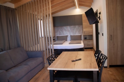 Chalet 1 room — 5