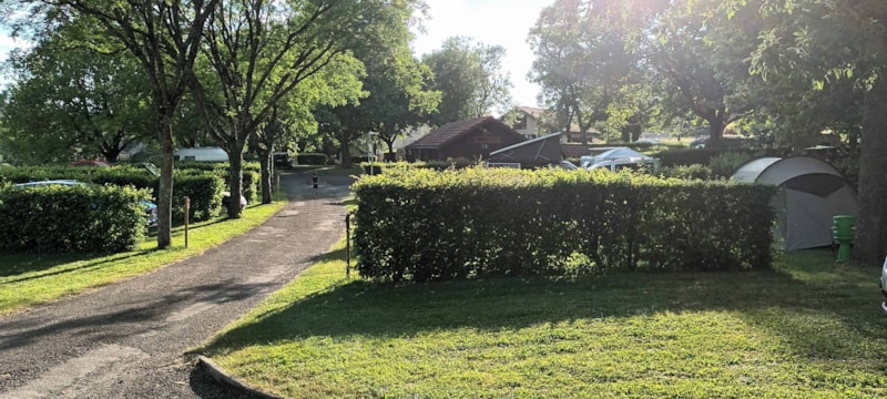 Camping Au Cœur Des Vignes - Camping - Arbois