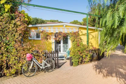 Tipo D: Bungalow Standard