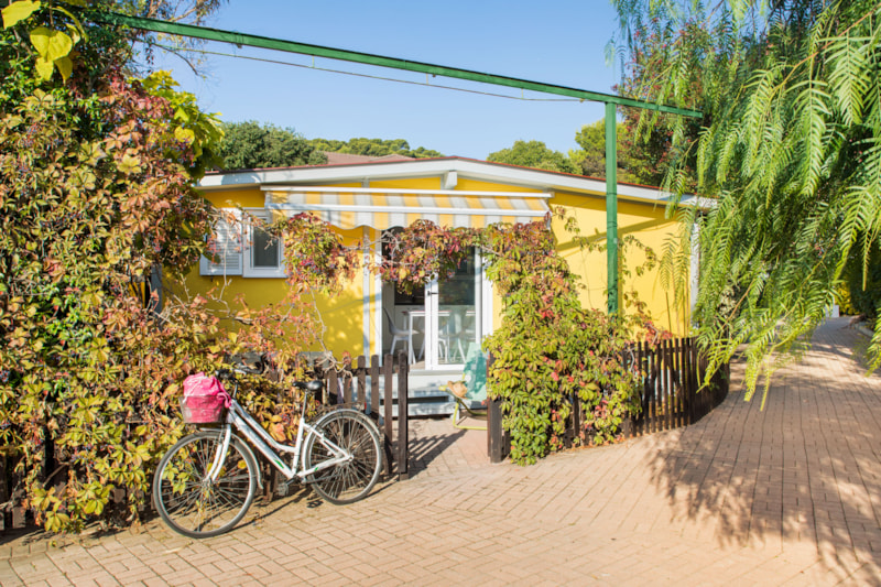 Tipo D: Bungalow Standard