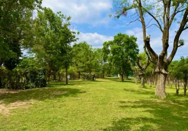 Camping L'Ardecho - RhoneAlpes