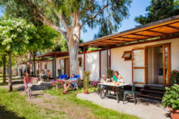Location - Holiday Home Pet Friendly - Bungalow Camping Baciccia