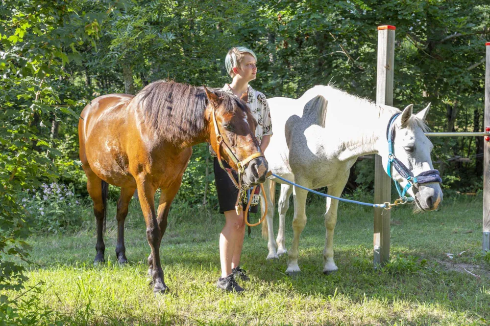 Camping l' OASIS Sites et Paysages