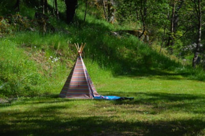 Pitch Grand Confort near the swimming pool only for tents