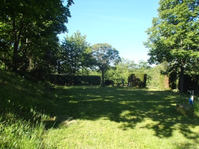 Pitch Privilege XXL (150 -200m²) with picnic table at the top of the campsite