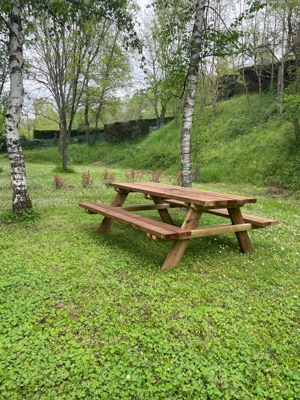 Emplacement - Emplacement Privilège Xxl (150-200M²) Proche Piscine, Table De Pique Nique. Electricité Incluse - Camping l' OASIS Sites et Paysages