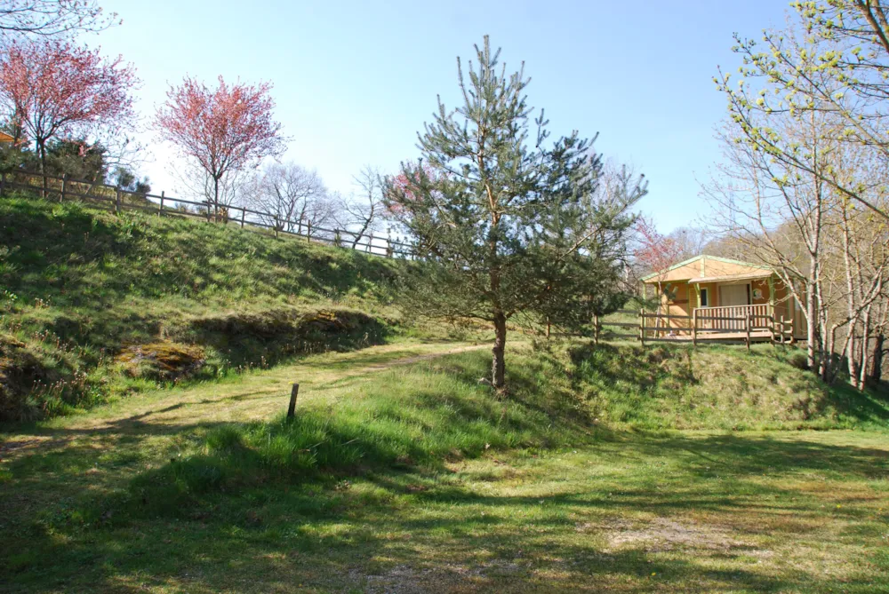 Location - Chalet Confort Acacia Proche Piscince - 2 Ch  - 25M2 + 10 M2 Terrasse Couverte - Camping l' OASIS Sites et Paysages