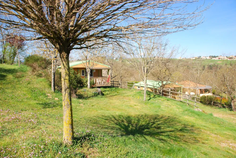 Location - Chalet Confort Acacia -  2 Ch - Tv - 25M2 + 10 M2 Terrasse Couverte - Camping l' OASIS Sites et Paysages