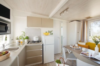 Vénus  22 m²