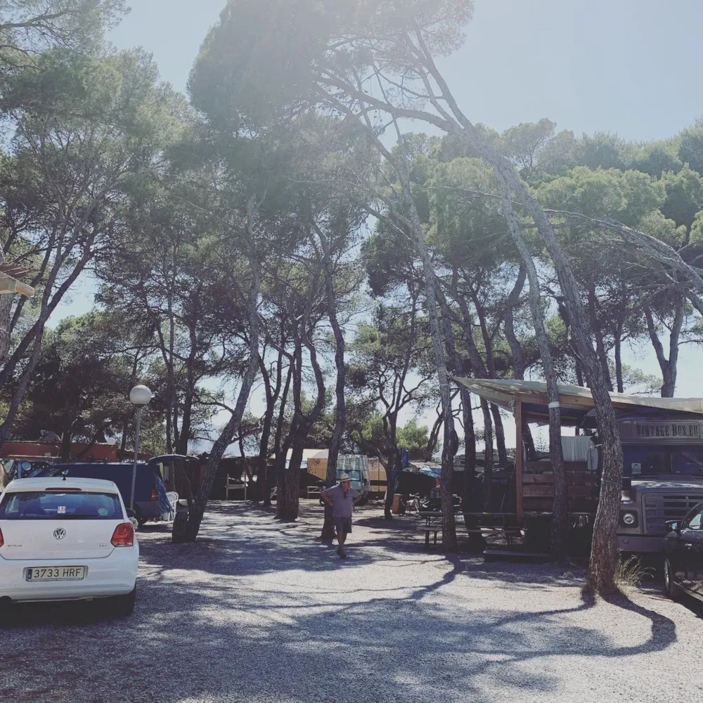 Camping La Playa Ibiza - image n°3 - Camping Direct