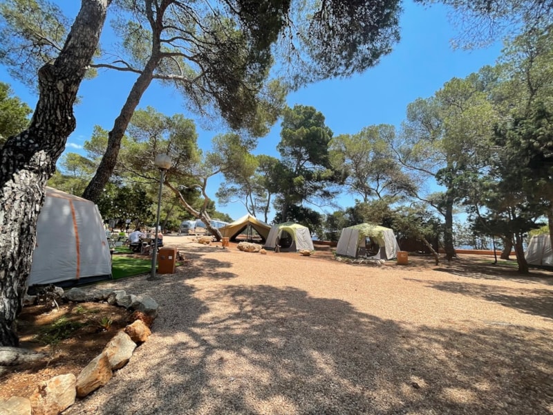 Piazzola tenda mediana B + elettricità