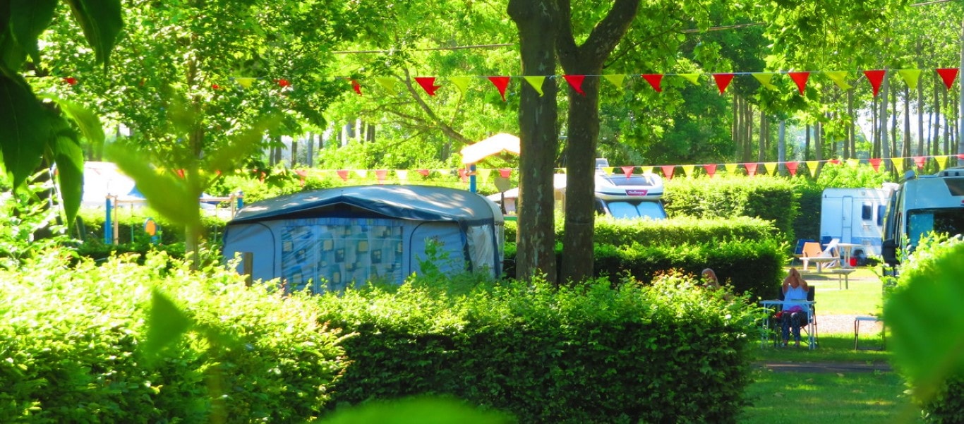Camping Onlycamp Longue Rive — Photo 6