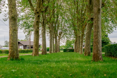 Camping package (pitch, 2 people, 1 vehicle)