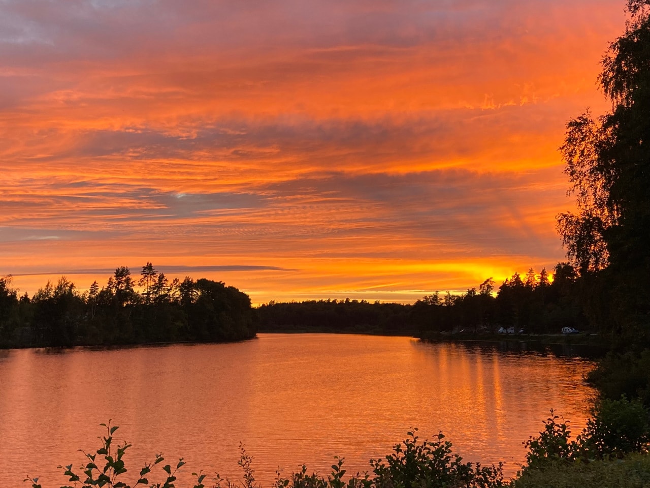 Ljuvadal Camping & Upplevelser — Foto 3