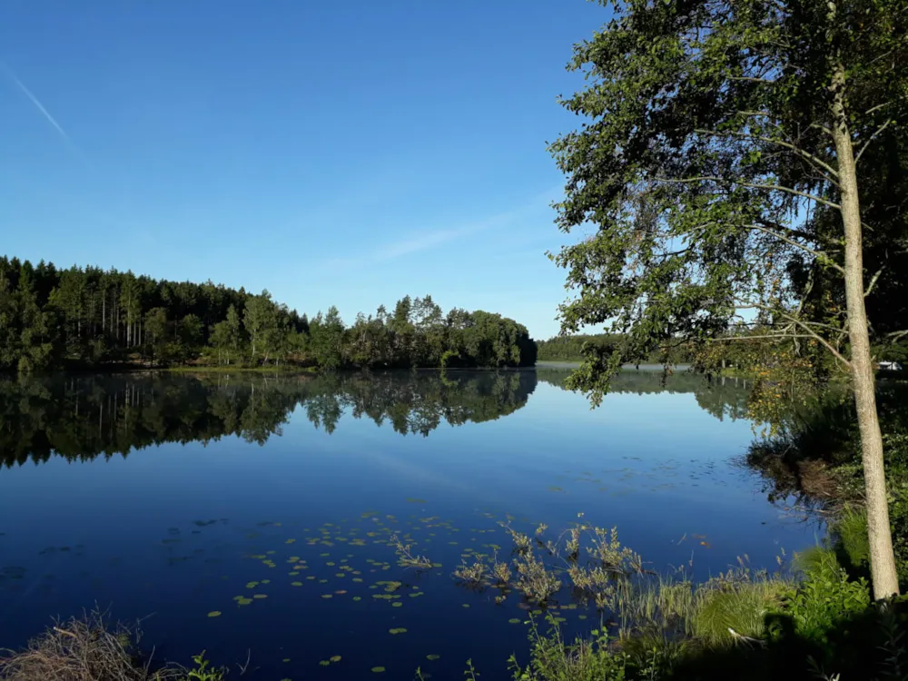 Ljuvadal Camping & Upplevelser