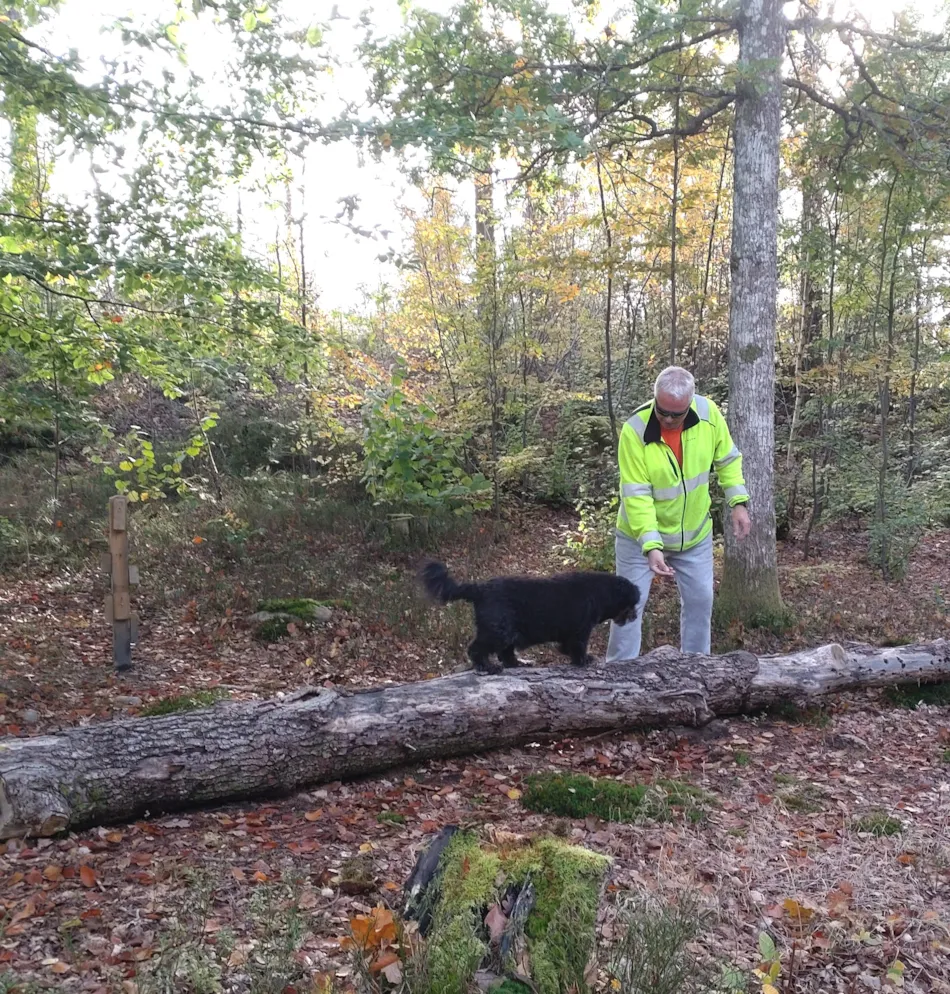 Ljuvadal Camping & Upplevelser