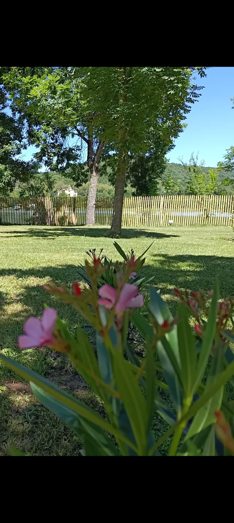 Emplacement 1 Tente Sans Véhicule