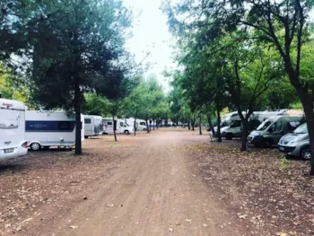 Stellplatz - Stellplatz - Camping Los Arenales