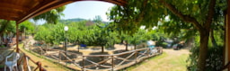 Villaggio Turistico Pian dei Boschi - image n°5 - UniversalBooking