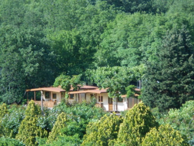 Holiday Home CLASSIC — 2