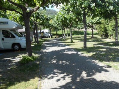 Pitch: caravan max or camping-car m. 7,30 — 2