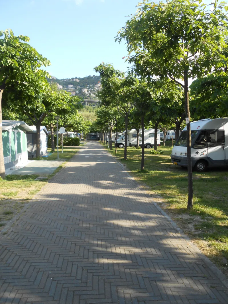 Emplacement : Caravane Max M. 7,30   Ou Camping-Car