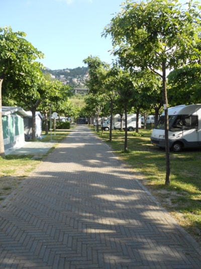 Pitch: caravan max or camping-car m. 7,30 — 4