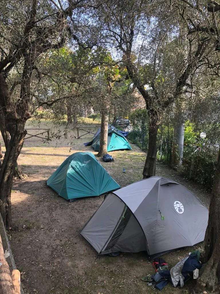 Demi Emplacement (Tente Canadienne) - Max 3 X 3 M.