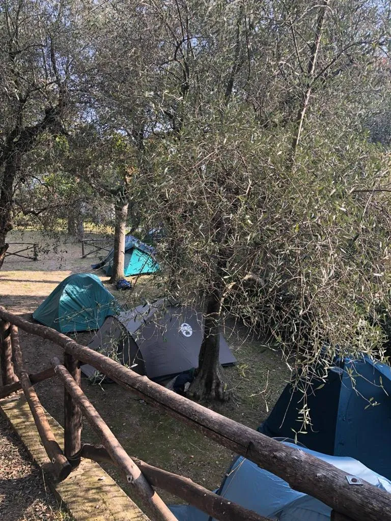 Demi Emplacement (Tente Canadienne) - Max 3 X 3 M.