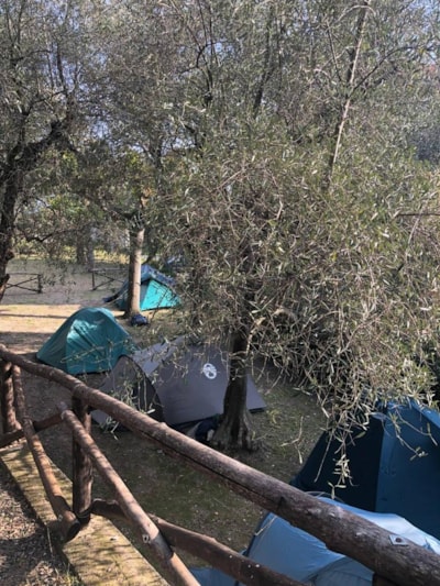 Half Pitch (Teepee) - max 3 x 3 m. — 3