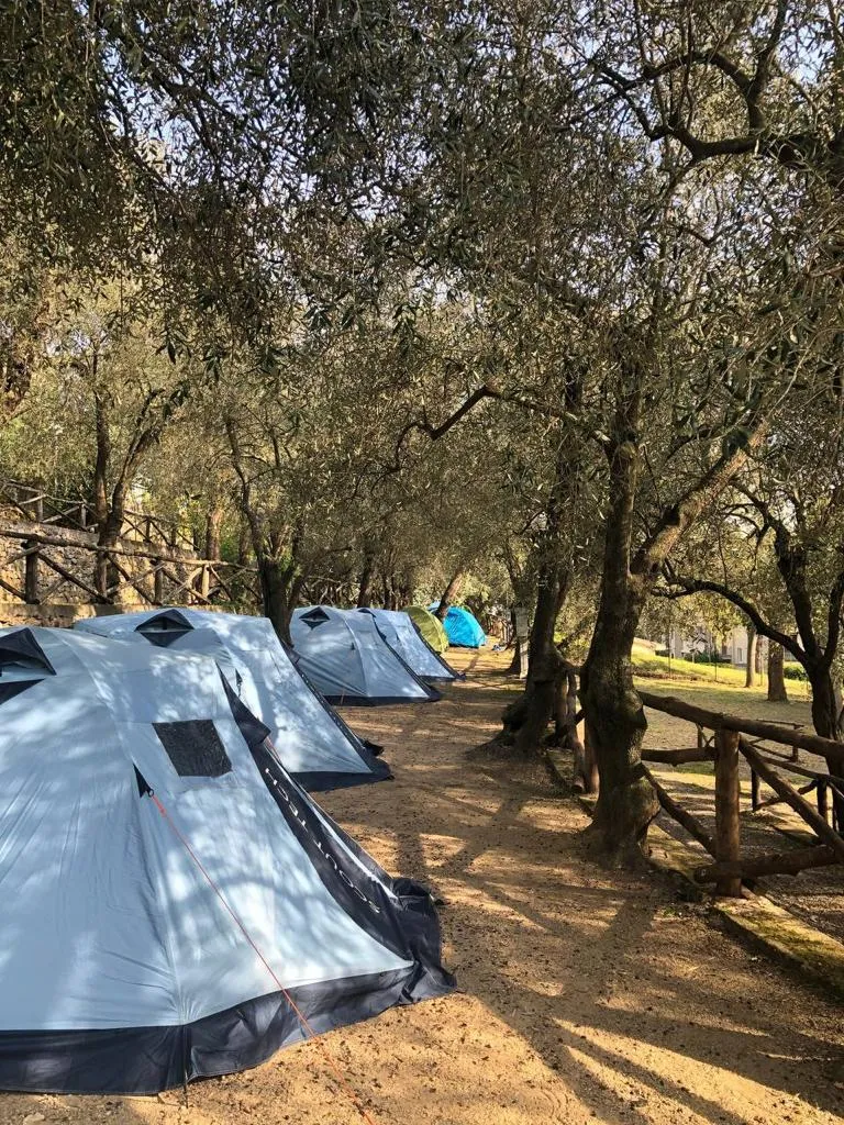 Demi Emplacement (Tente Canadienne) - Max 3 X 3 M.