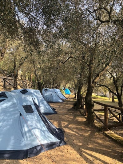 Half Pitch (Teepee) - max 3 x 3 m. — 4