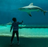 Foto #57 van Villaggio Turistico Pian dei Boschi