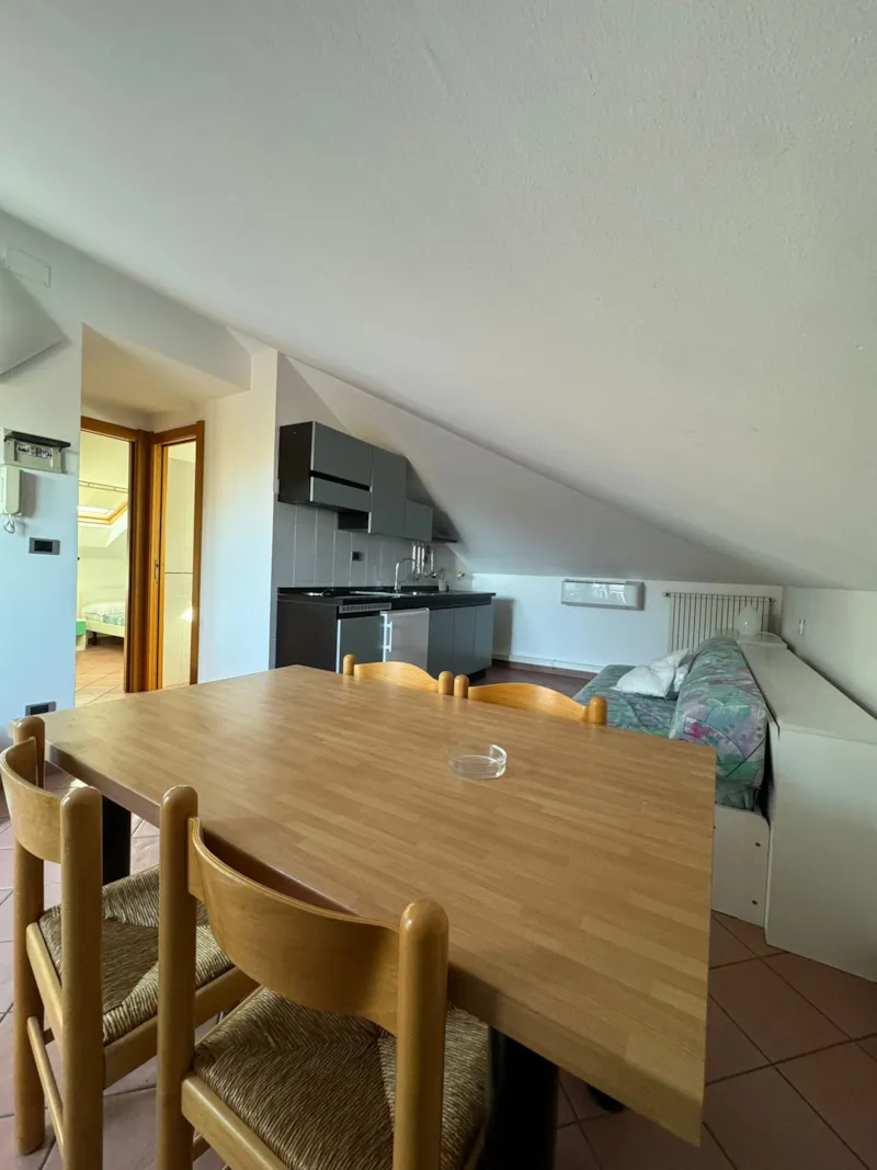 Two-Room Attic Apartment