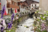 Foto #34 van Flower Camping Les Iles