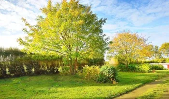 Stellplatz - Stellplatz Classic - > 80 M² - Camping Marvilla Parks - Le Castellas