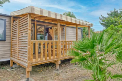 Grand Cottage Premium- 3 Chambres