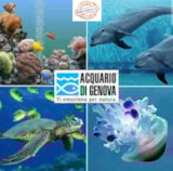 Foto #25 van Villaggio C’era una Volta