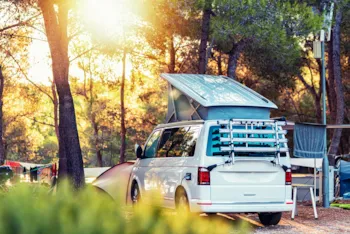 Stellplatz - Stellplatz Komfort (B101 -B172) - Prima Camping Resort Ostsee-Boddenblick 