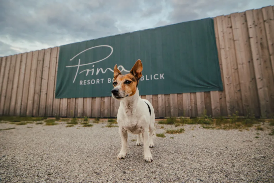 Prima Camping Resort Ostsee-Boddenblick