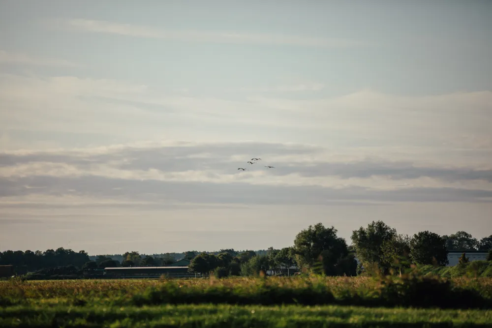 Prima Camping Resort Ostsee-Boddenblick 