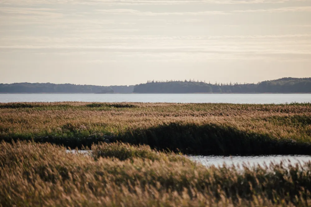 Prima Camping Resort Ostsee-Boddenblick 