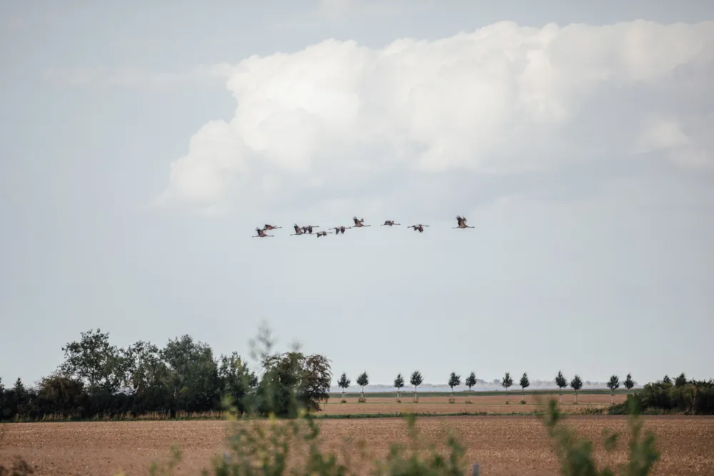 Prima Camping Resort Ostsee-Boddenblick 